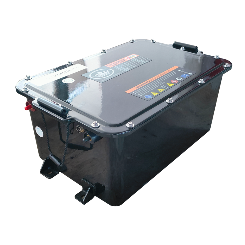 LiFePO4 Battery, DFD 50-L48105-A (With Can)