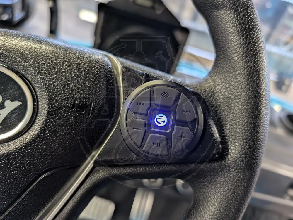 D5 Audio Bluetooth Remote and Holder -PRO Model Accessories