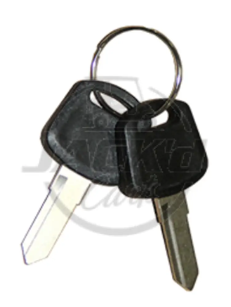 Embryonic Key OEM Parts