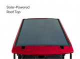 DACH Falcon 2+2 - Red